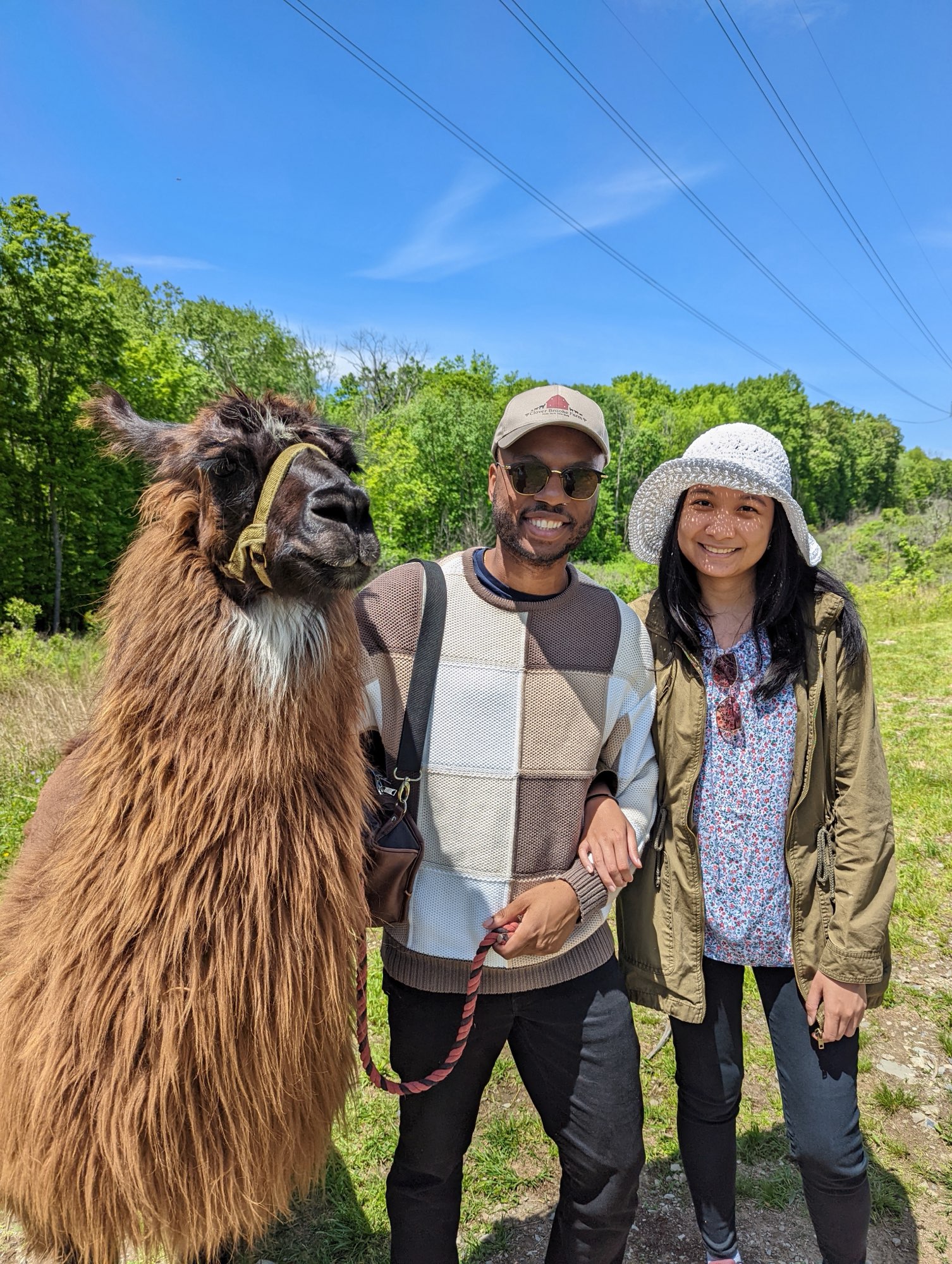 Krishel and Omar stand in a sunny field beside a llama.